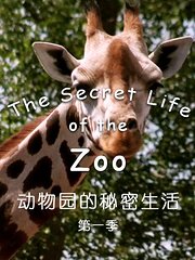 动物园的秘密生活第1季