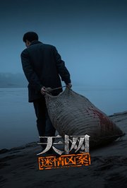 天网：迷情凶案