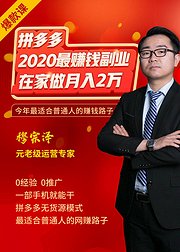 2020最赚钱副业玩拼多多月入过万