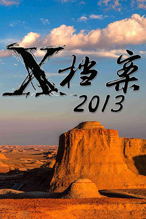X档案2013