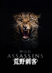 荒野刺客第1季