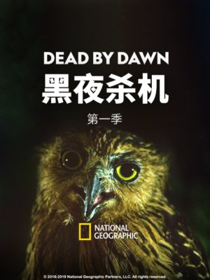 黑夜杀机第1季