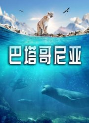 巴塔哥尼亚