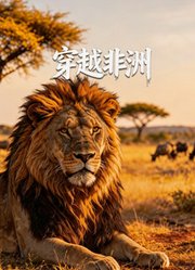 穿越非洲