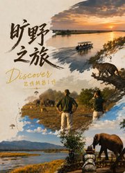 旷野之旅