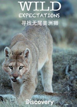 野生动物探寻