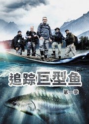 追踪巨型鱼第1季