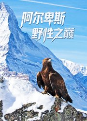 阿尔卑斯：野性之巅