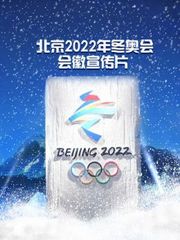 北京2022年冬奥会会徽宣传片
