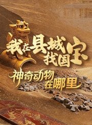 我在县城找国宝-神奇动物在哪里