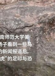 发现足迹江苏一亿年前有恐龙