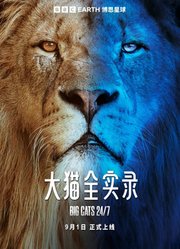 大猫全实录中文版