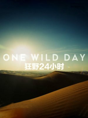 狂野24小时