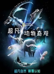 超凡动物奇观中文版