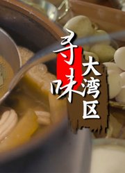 寻味大湾区配音版