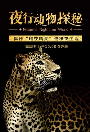 夜行动物探秘
