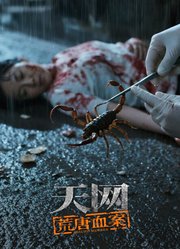 天网：荒唐血案