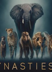 王朝第2季中文版