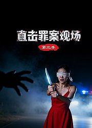 直击罪案现场第3季