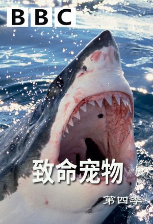 致命宠物第4季