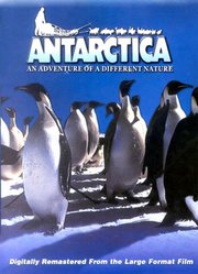 南极洲不一样的大自然探险之旅