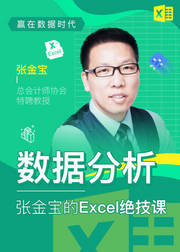 数据分析——张金宝的Excel绝技课