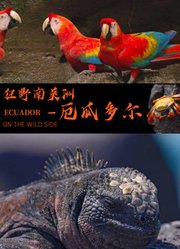 狂野南美洲——厄瓜多尔英文版
