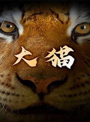 大猫