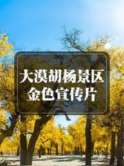 大漠胡杨景区金色宣传片