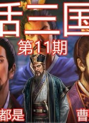 13分钟了解淮南三叛，司马氏如何谋曹篡魏！【白话三国志：11】