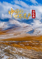 中国的世界遗产西北篇