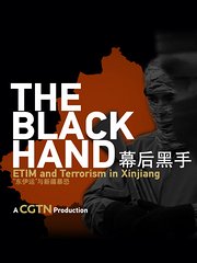 幕后黑手——“东伊运”与新疆反恐