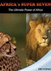 非洲超级七兽