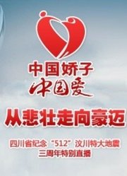 纪念512汶川特大地震三周年