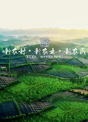 数字中国新农村·新农业·新农民