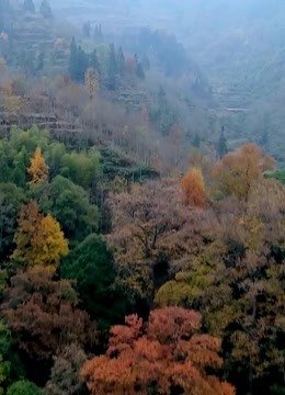传承：守望初心