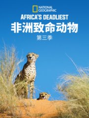 非洲致命动物第3季