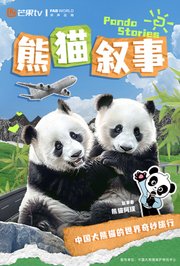熊猫叙事卫视版
