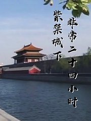 非常24小时-紫禁城下