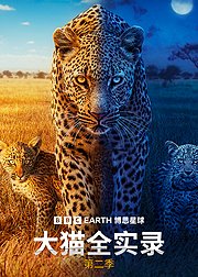大猫全实录第2季[英文版]