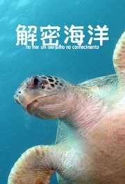 解密海洋