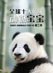 全球十大顶级动物宝宝第2季英文版