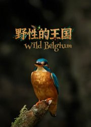 野性的王国