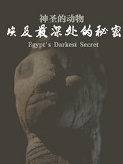 神圣的动物：埃及最深处的秘密