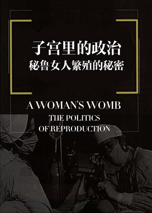 子宫里的政治