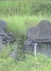 古墓保护不够被盗连墓碑旁的柱子都不放过专家却更重视无字碑
