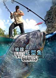 追踪巨型鱼第2季配音版