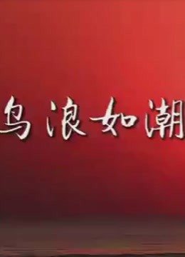 鸟浪奇观