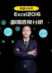 商业数据分析师：Excel2016数据透视分析