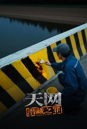 天网：潜藏之罪